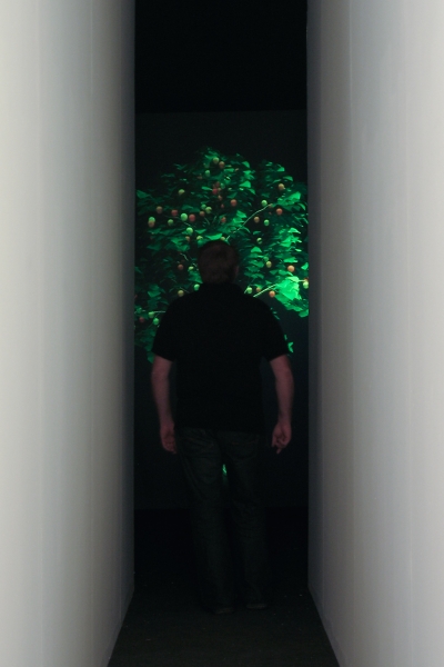 The Tree of Knowledge