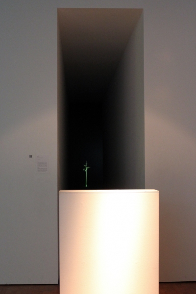 The Tree of Knowledge — © N. Völzow