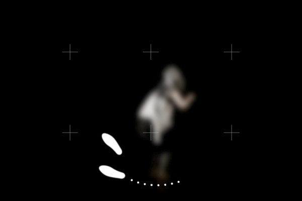 Indivicracy - Dance of the Peregrine — © N. Völzow