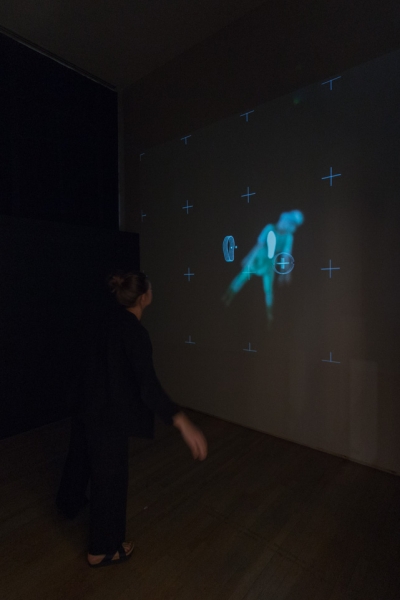 Indivicracy - Dance of the Peregrine — © N. Völzow