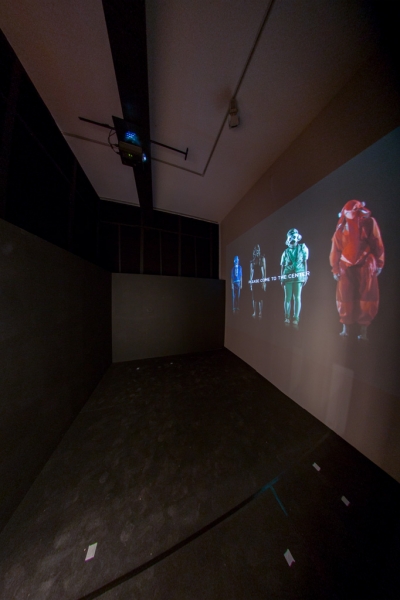 Indivicracy - Dance of the Peregrine — © N. Völzow