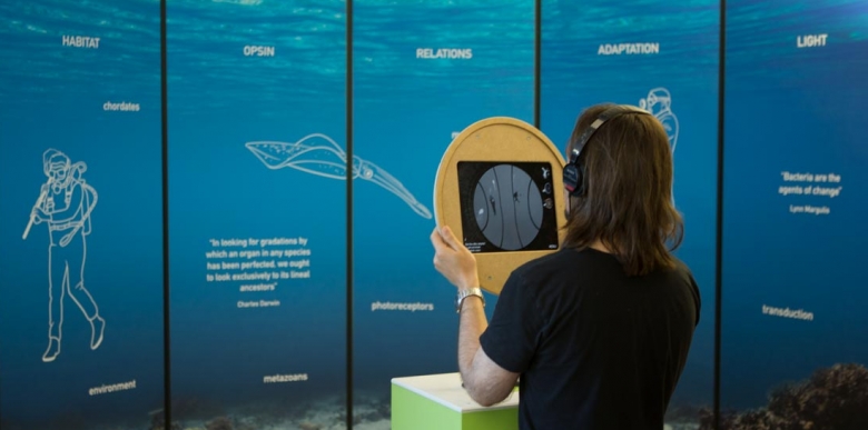 JellyEyes — © N. Völzow