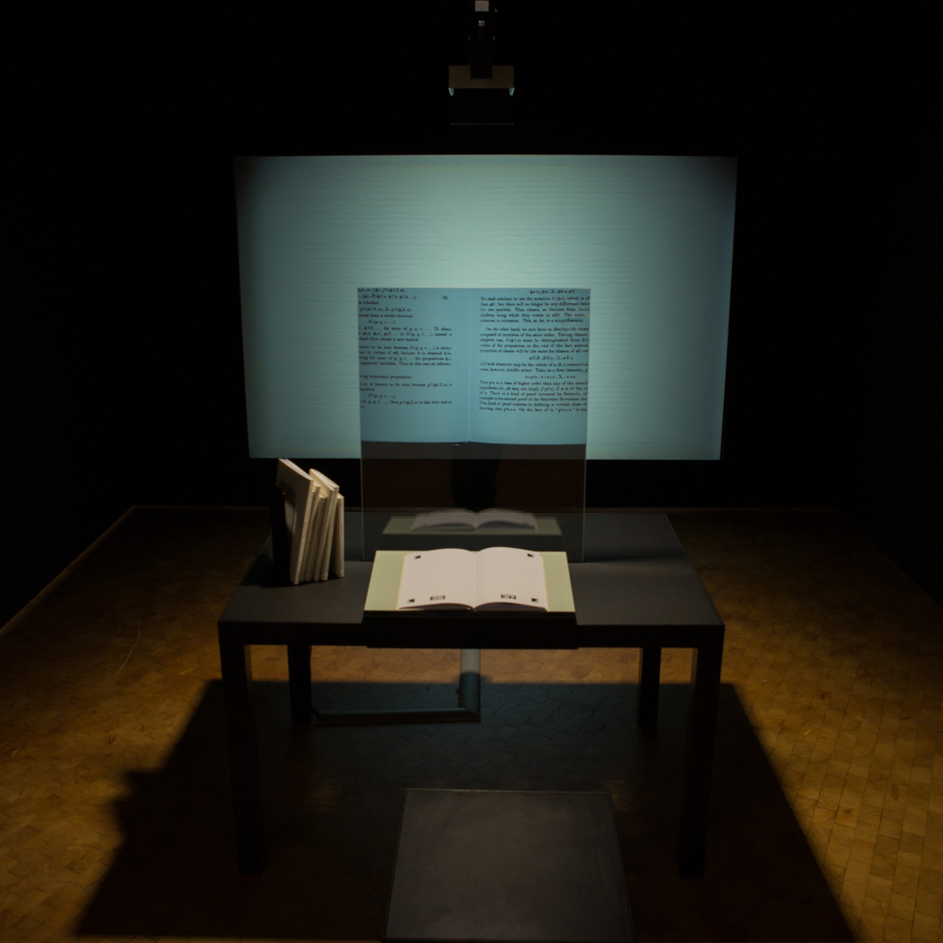 Das Verschwinden des Buches