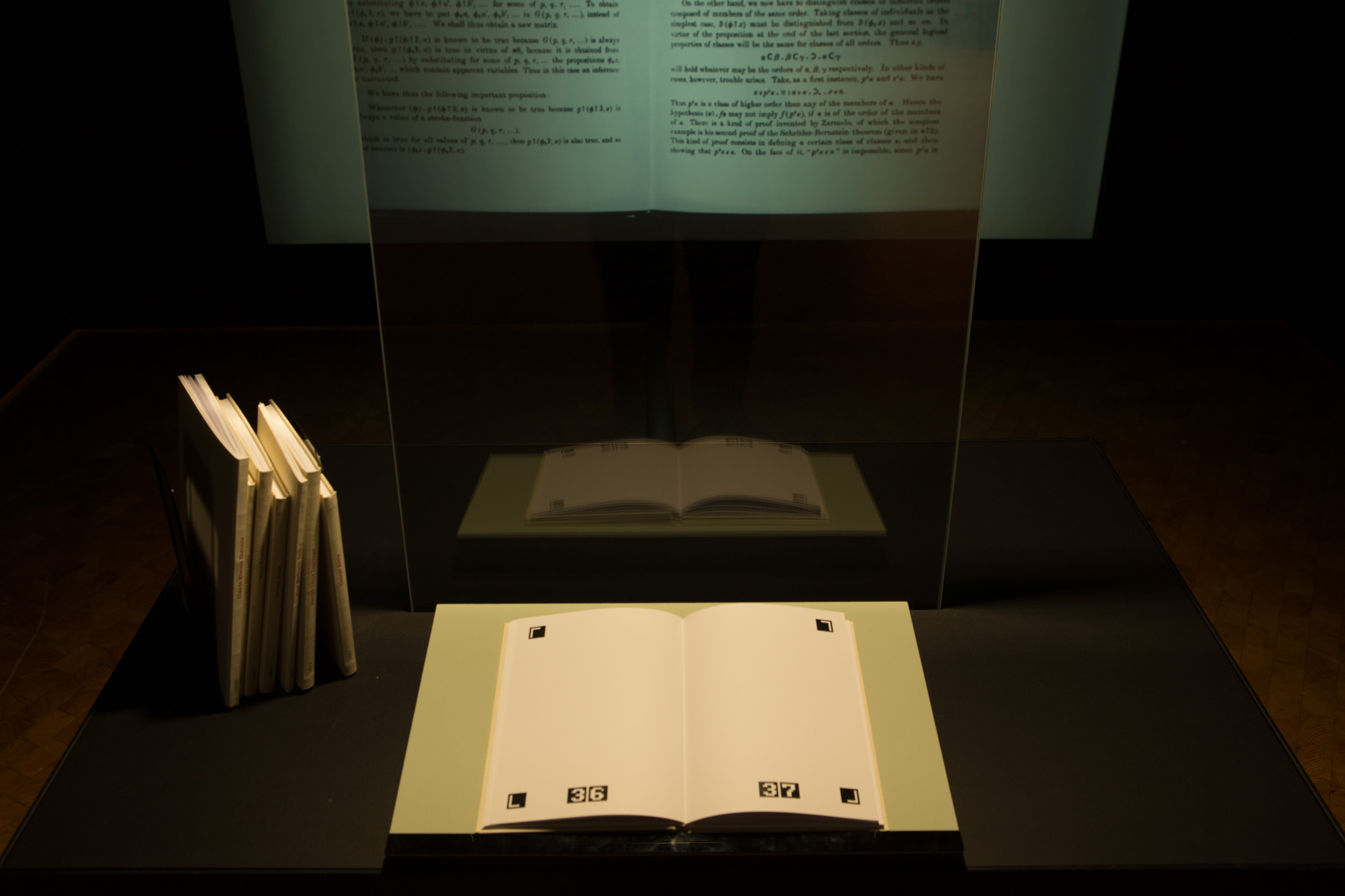 Das Verschwinden des Buches — © N. Völzow