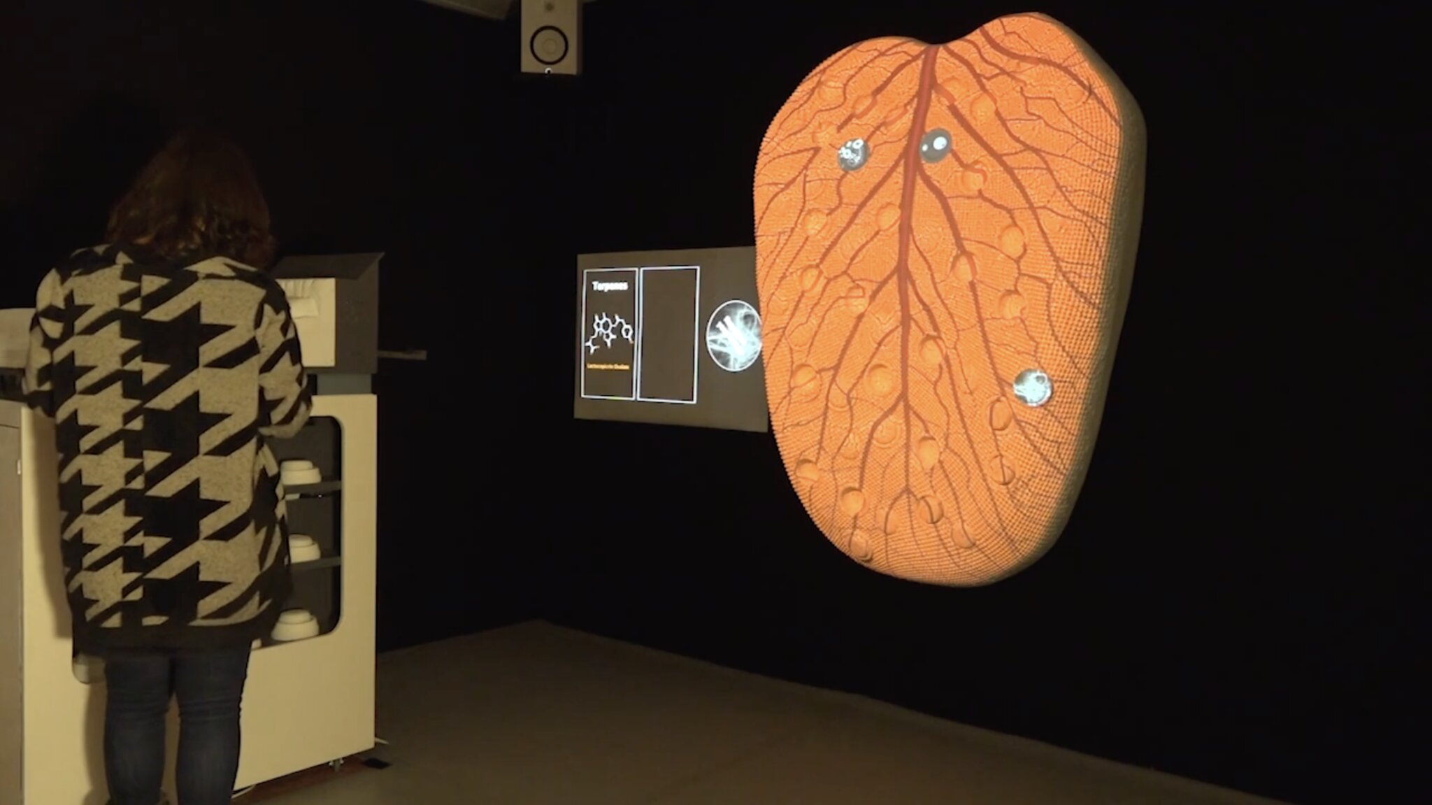 Aftertaste – The Molecular Orchestra — © N. Völzow