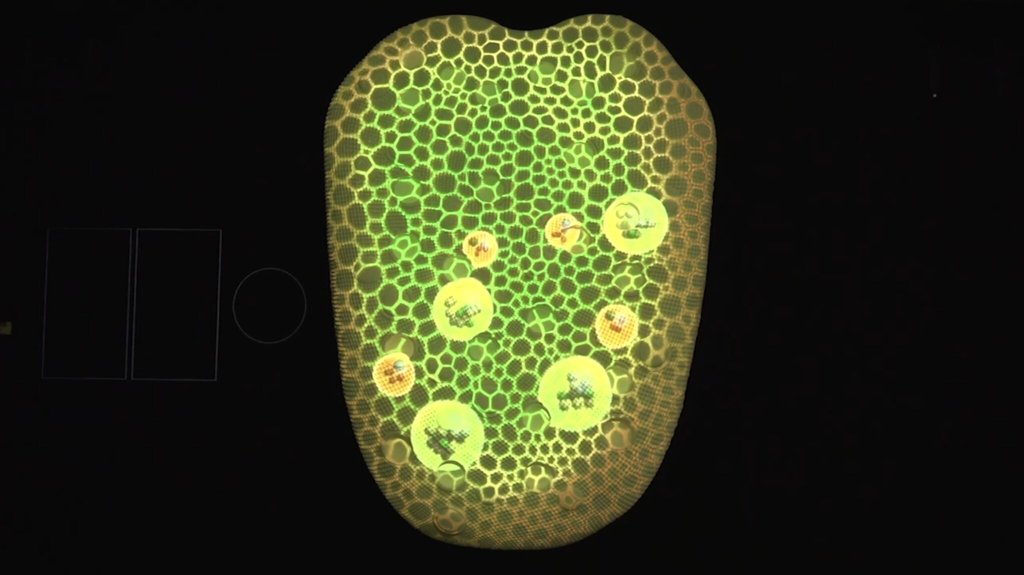 Aftertaste – The Molecular Orchestra