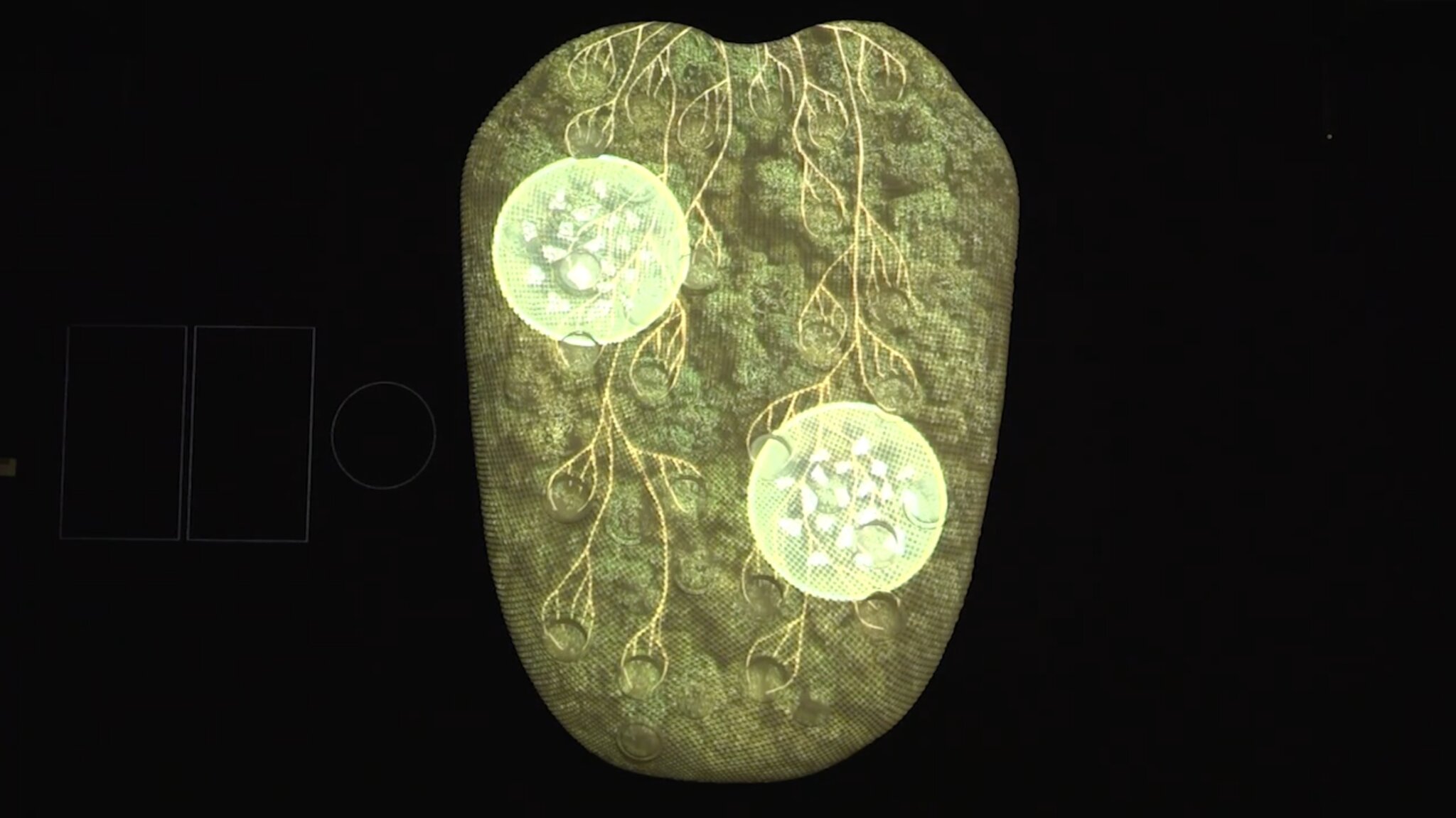 Aftertaste – The Molecular Orchestra — © N. Völzow