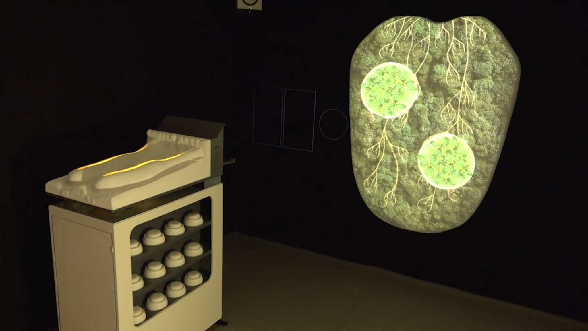 Aftertaste – The Molecular Orchestra — © N. Völzow