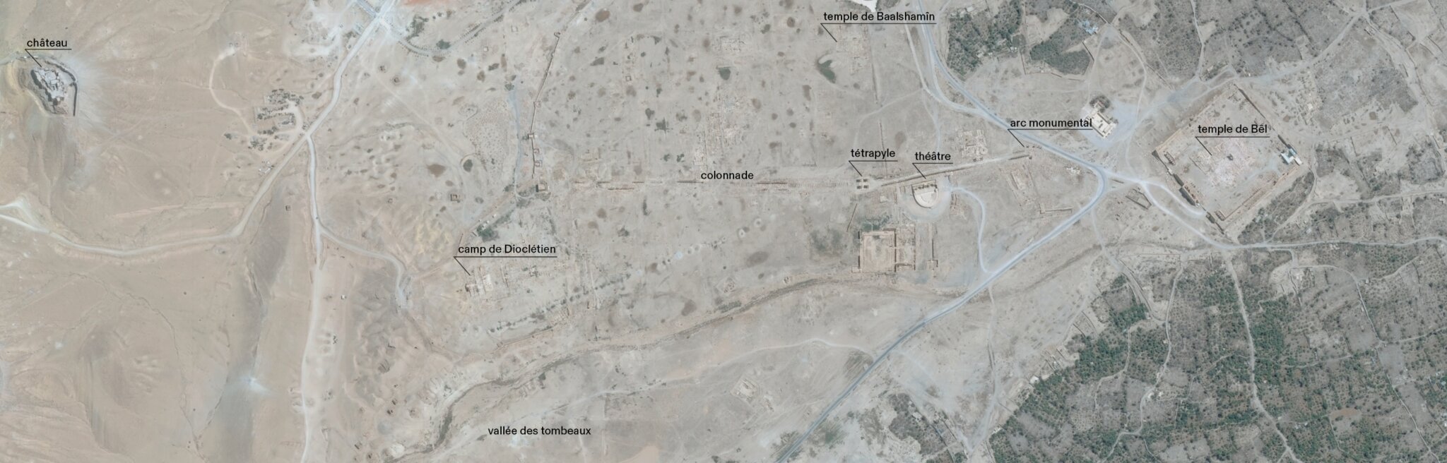 Collart-Palmyre Project, UNIL — © N. Völzow