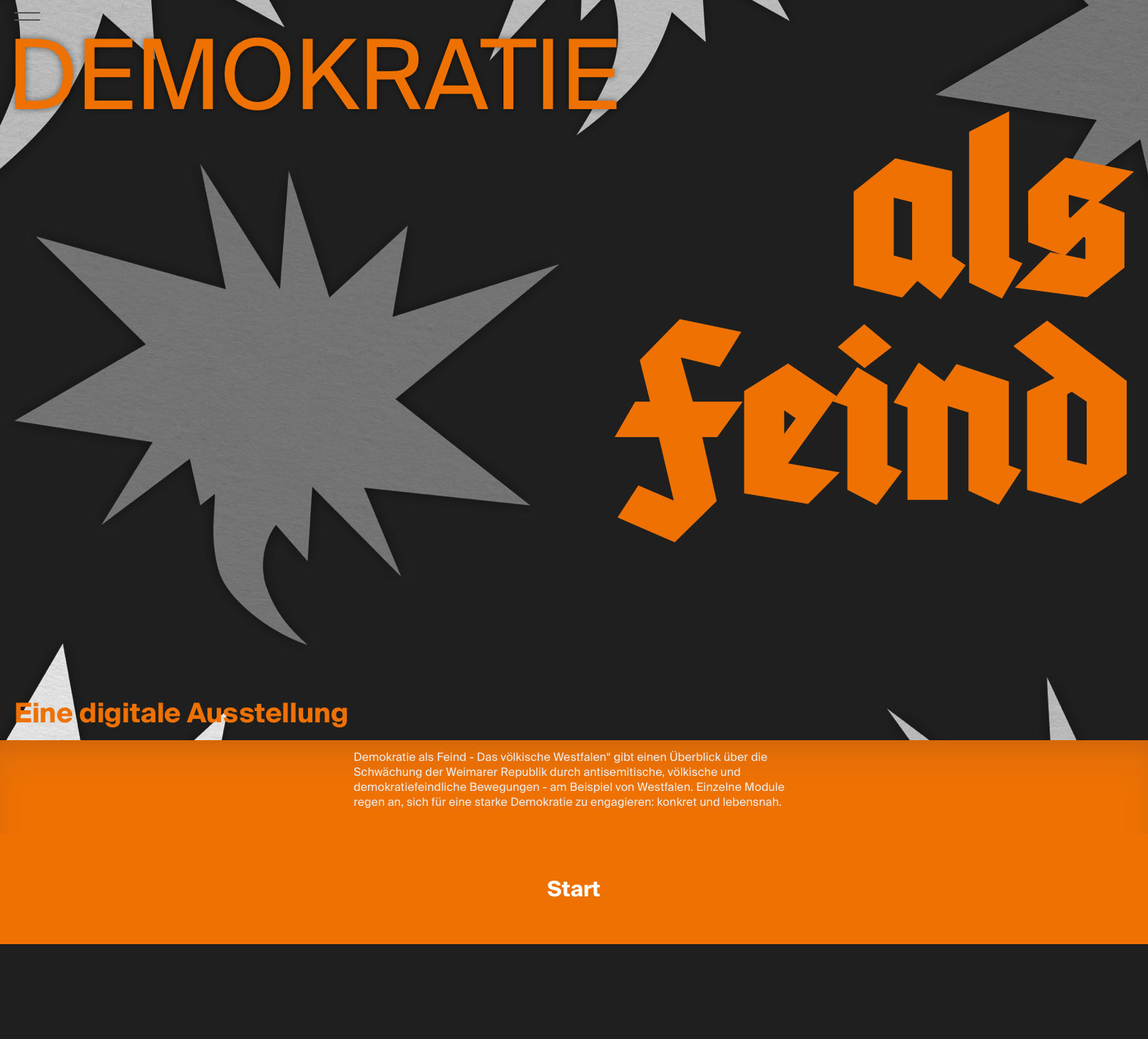 Demokratie als Feind — © N. Völzow